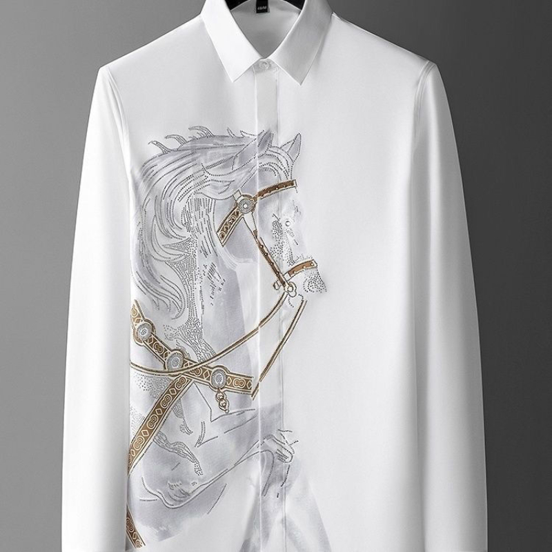 Dress White Shirts for Men Lon - Dress Shirt Non-Iron 评论和价格